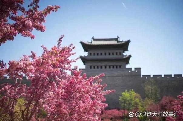 聚乐公园图标