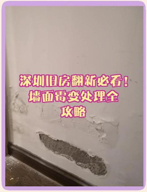 墙面发霉的处理方法缩略图