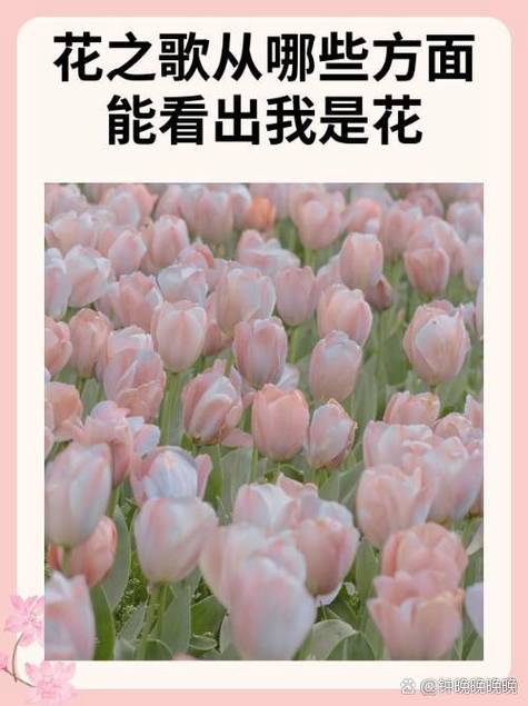 花之歌文中的花是一个怎样的形象图标