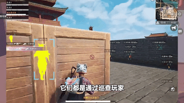 和平精英精英巡查团时装