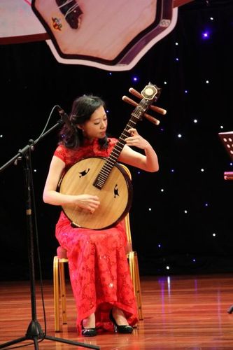 秦琴独奏精彩表演