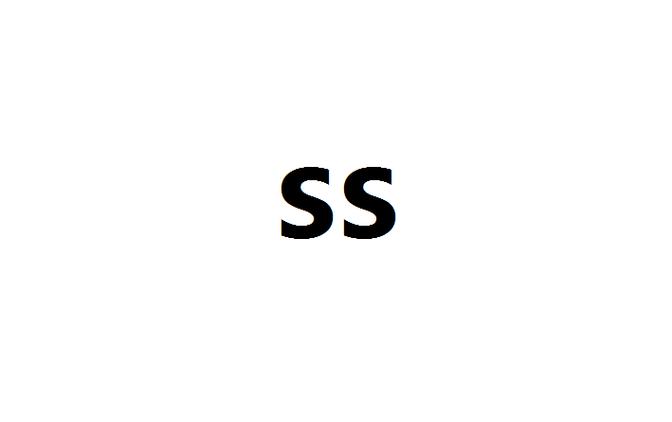 ss表示什么意思图标