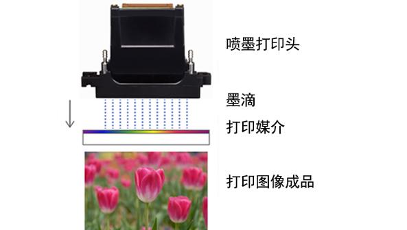 喷墨打印缩略图