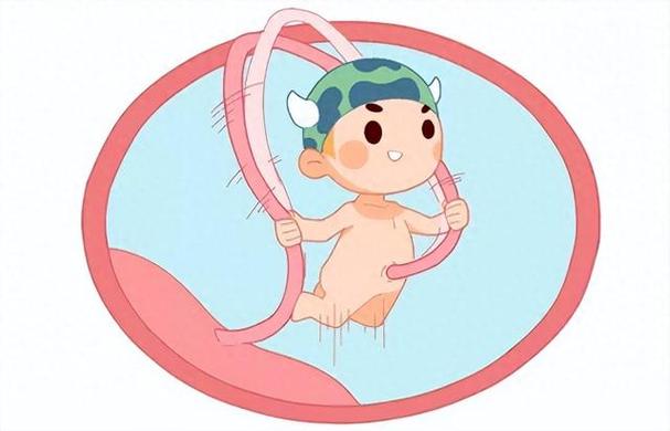 脐带掉了放哪里最旺