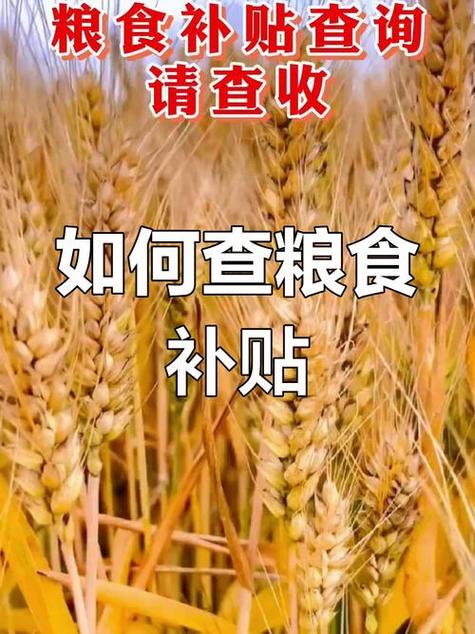 农村农业补贴查询缩略图