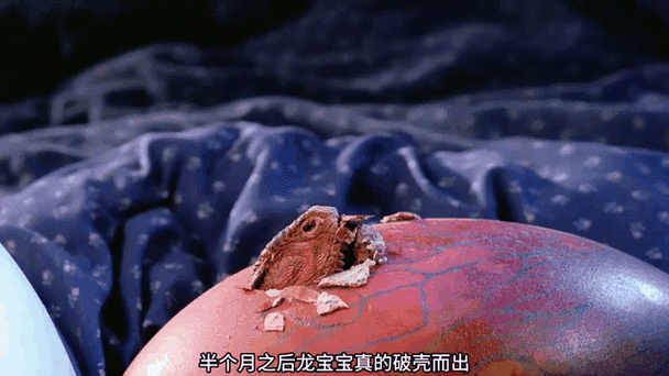 恐龙蛋多久可以孵出恐龙缩略图