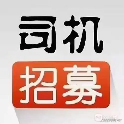 急招2名私家车司机游戏截图