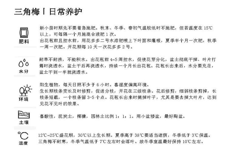 养花一年能赚多少钱