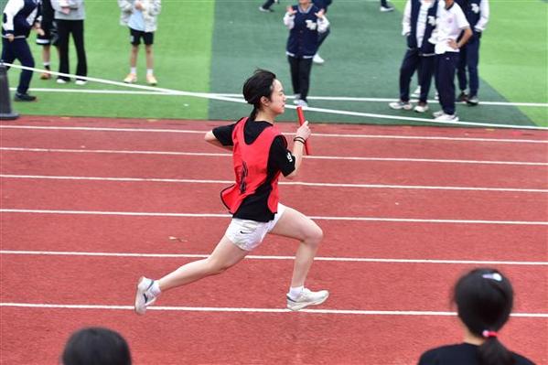 田径运动会2怎么下载缩略图