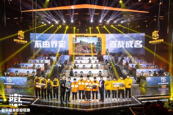 2019和平精英国际赛缩略图