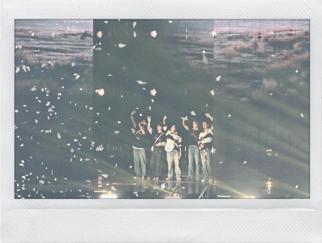 EXO—L的纪念日图标
