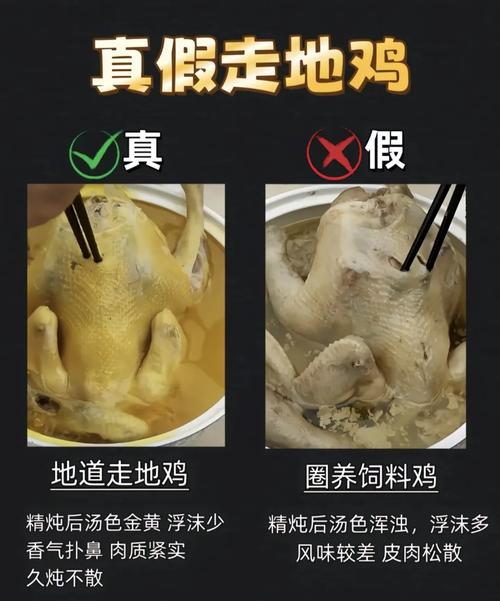 硅谷区块鸡是否靠谱