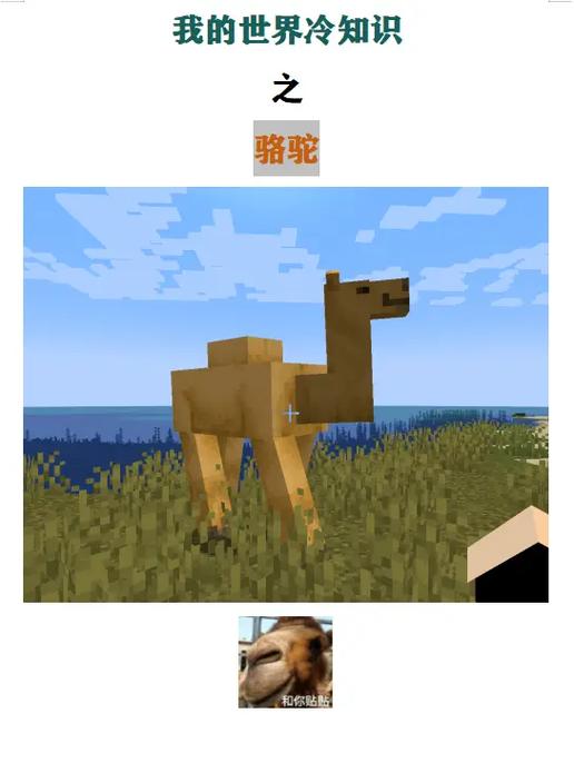 我的世界骆驼骑法教程图标