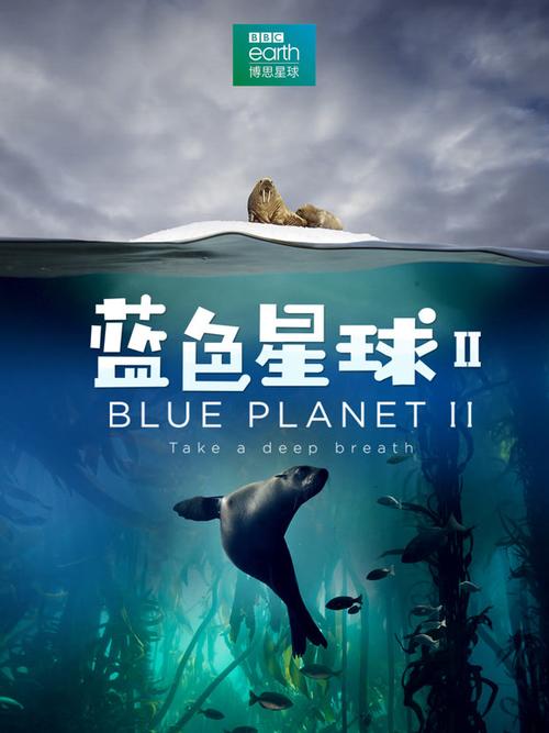 迪迦奥特曼之蓝色星球的爱图标
