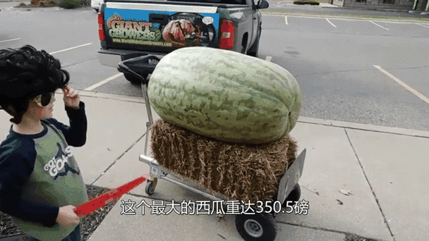 一个西瓜多重