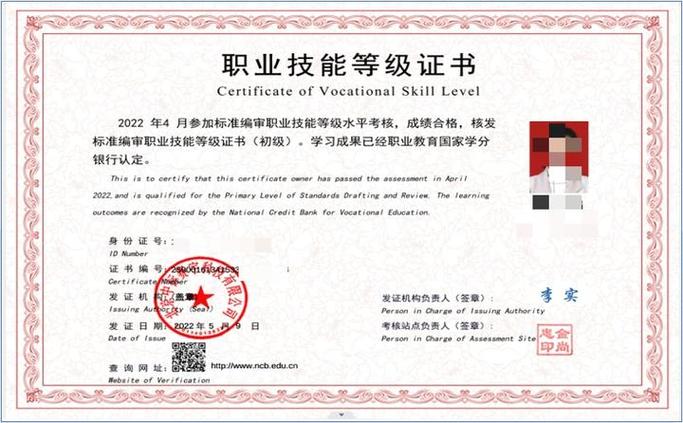职业技能等级证书游戏截图