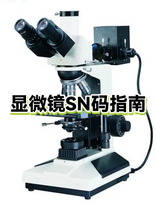 罗技sn码可以随便给别人吗
