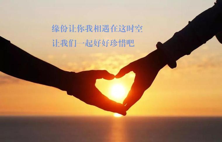 51相亲网