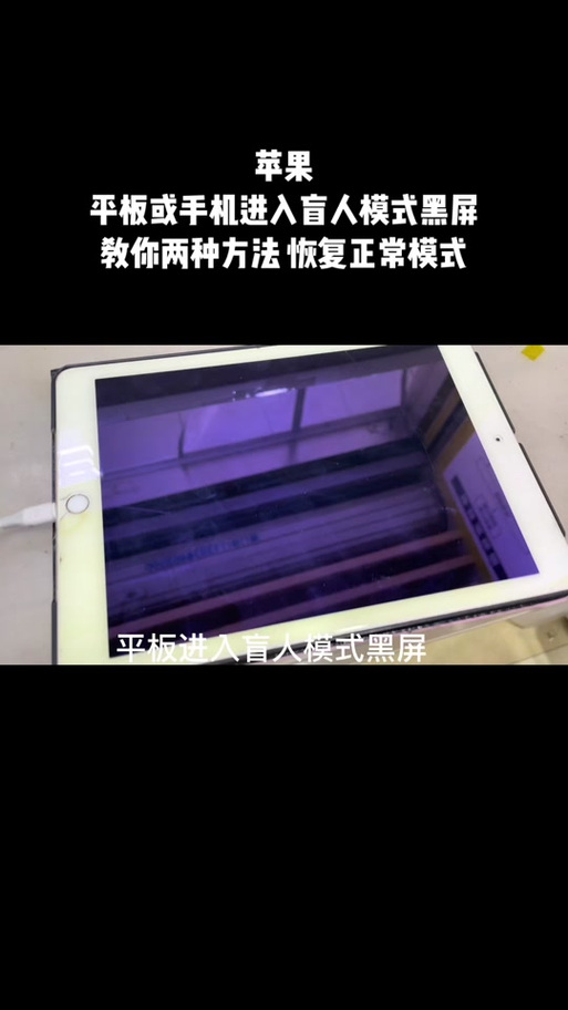 ipad突然黑屏转圈圈通用版游戏截图