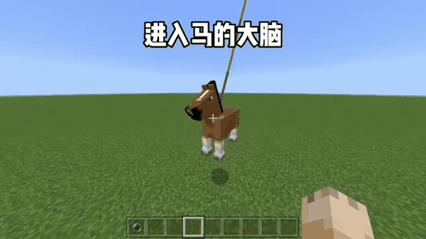 我的世界怎么看马的速度图标