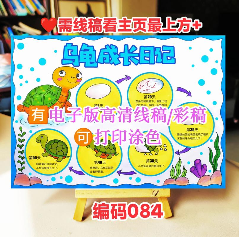 乌龟壳上贴纸会限制乌龟生长吗图标