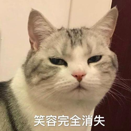 笑容逐渐消失表情包缩略图