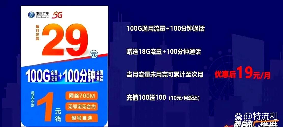 29元100g通用流量缩略图