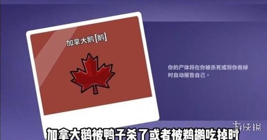 加拿大玩法规则图标