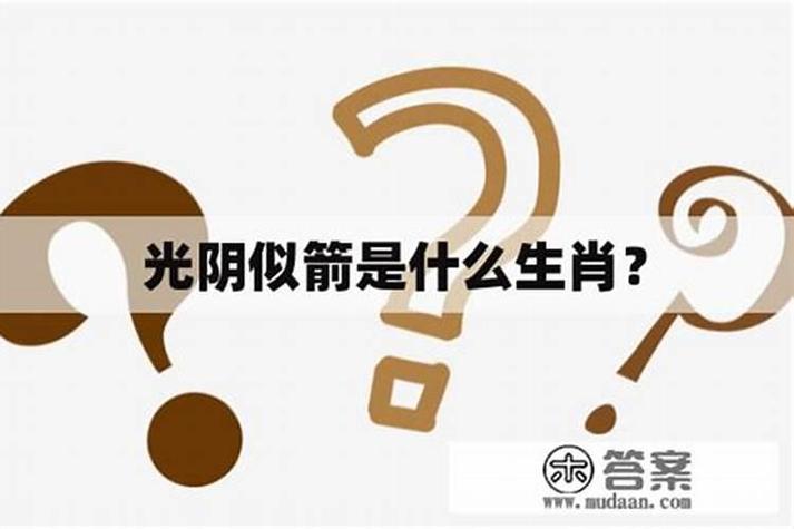 光阴似箭打一正确生肖