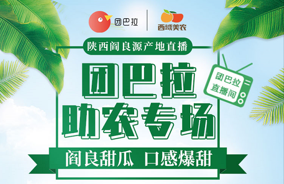 团巴拉是什么缩略图