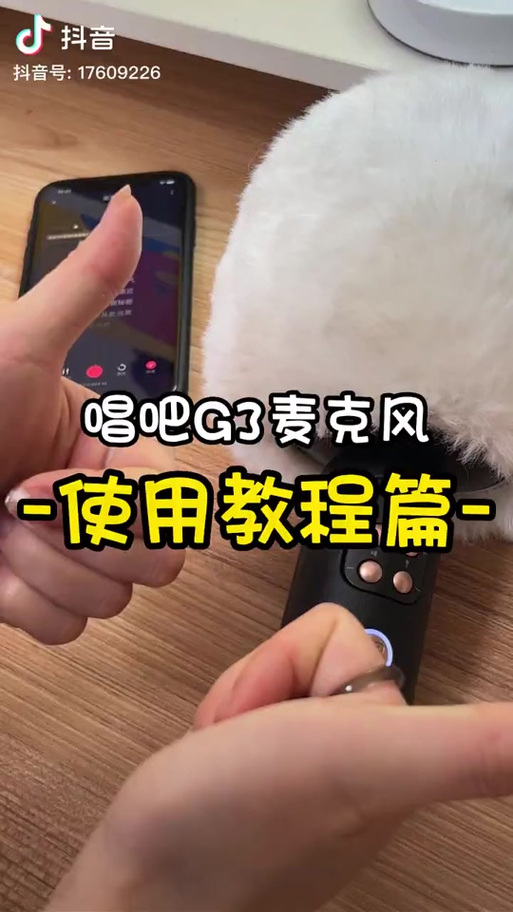 蛋仔如何开启麦克风权限缩略图