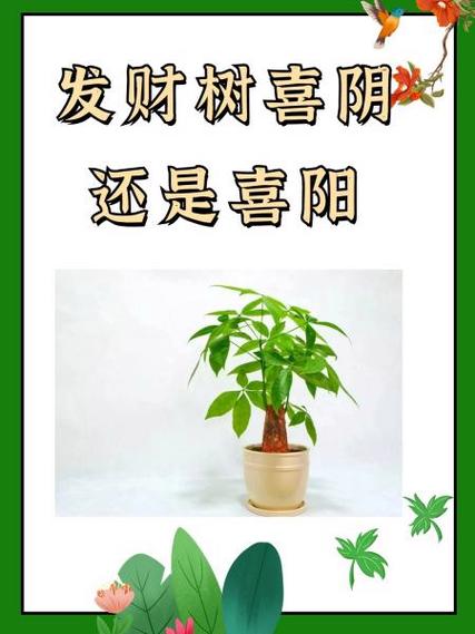 发财树app缩略图