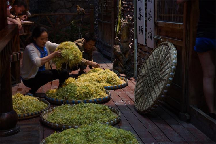 收金银花电话