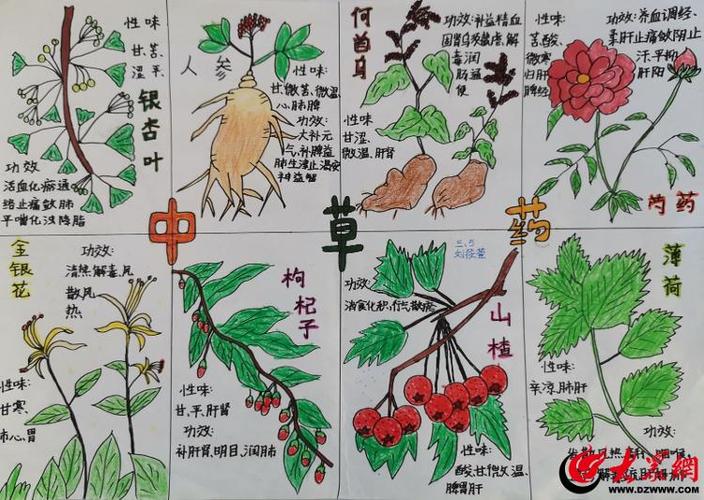 中医药趣味知识问答缩略图