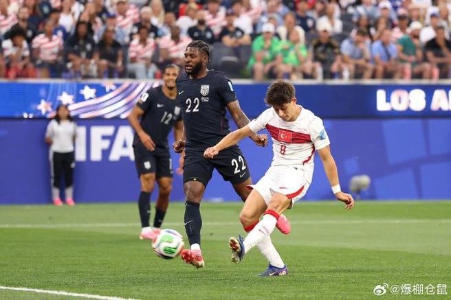 世界杯:土耳其vs美国