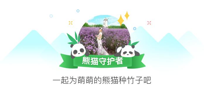 安卓禁止软件联网缩略图