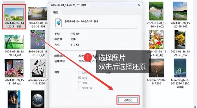 删除的照片从哪里找回