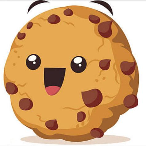 Via获取网站cookie