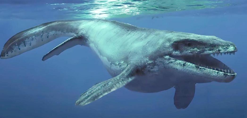 十大巨型海洋生物缩略图