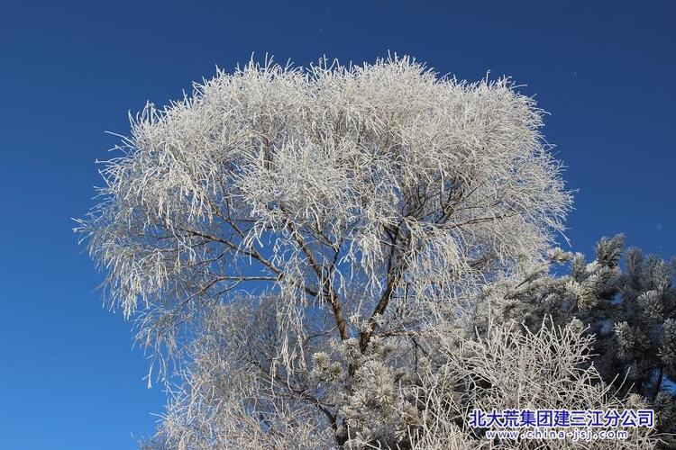 清极不知寒小说免费阅读缩略图