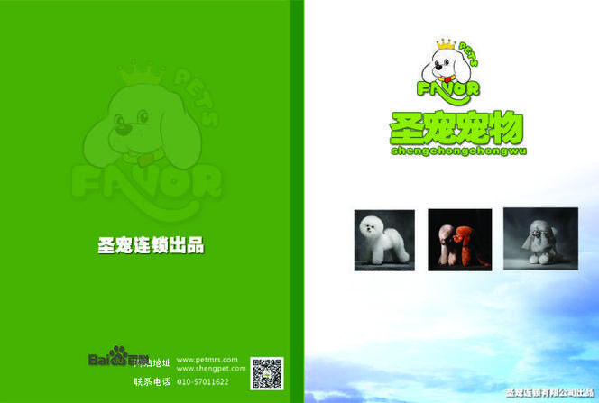 狗狗书籍游戏截图