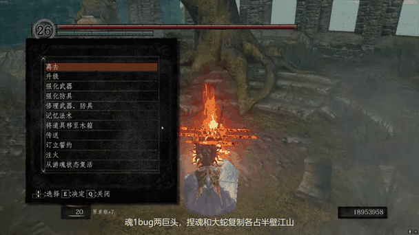 黑暗之魂三刷魂bug游戏截图