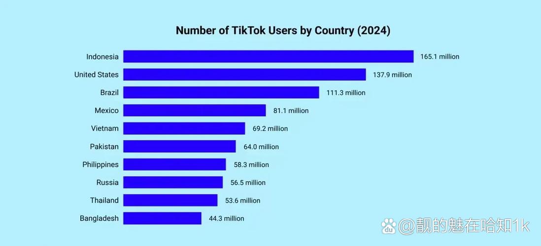 tiktok全球用户数量游戏截图
