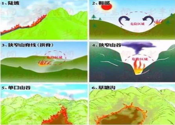 森林分布在什么地形区图标