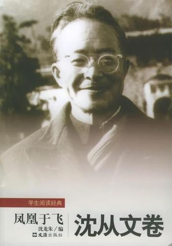 凤凰于飞免费阅读缩略图