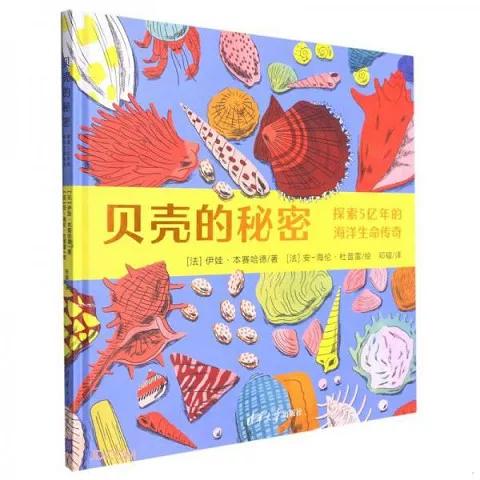 首饰贝壳的寓意及象征