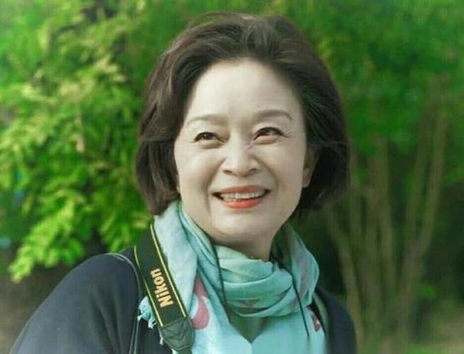 65岁老年人最佳颜色图标