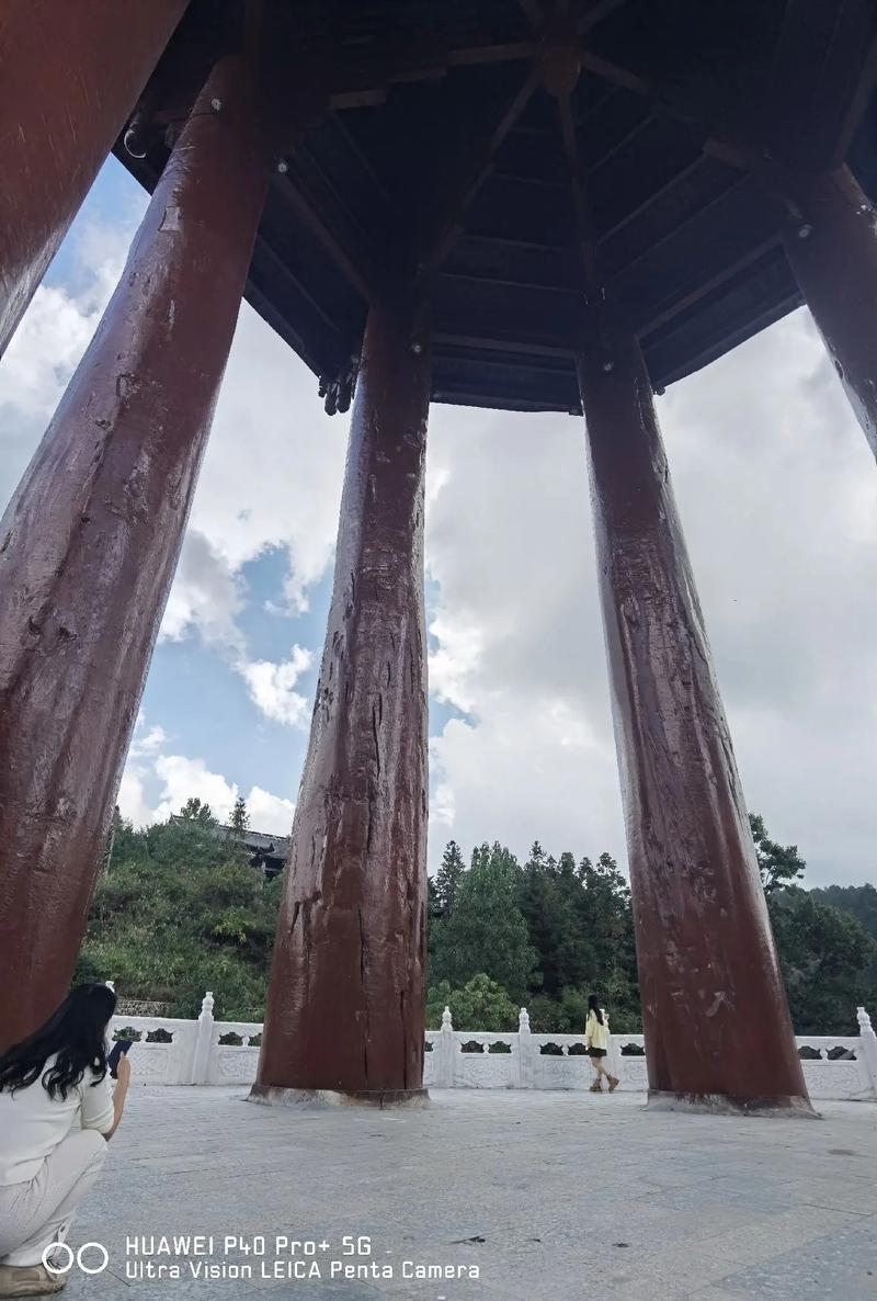 杨家洼大脚锁柱最新章节内容介绍