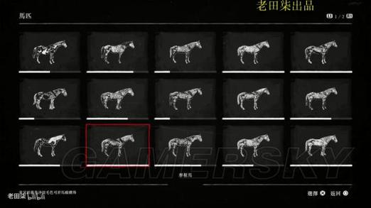 荒野大镖客2马灰色格子
