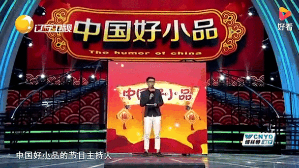 辽宁卫视2008广告缩略图